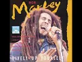 Bob Marley -  Lively Up Yourself