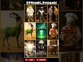 Download Lagu ITALIAN BRAINROT EXTINCTION | SPIN WIN BRAINROT 🎰🥑 *MIX VERSION* \u0026 REACTIONS!🧠💀 #sprunkiphoenix
