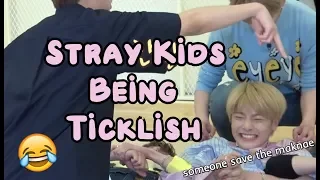 Download Stray Kids Being A Ticklish Bunch Of Dorks MP3