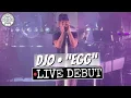 Djo Egg LIVE Debut