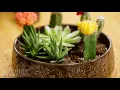 Ceramic Planter Pots