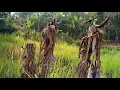 MEGA HITS DANGDUT RANA RANI FULL ALBUM - 16 LAGU TERBAIK PAKET KOMPLIT | Seruling Asmara 