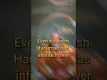 Download Lagu Just imagine the power of Lord Shiva 🔱🔥| Supreme God Mahadev Status | Lord Hanumana Status | #shorts