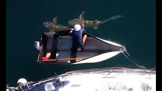 Shark Infested Art Gallery – Free Range Sailing Ep 12