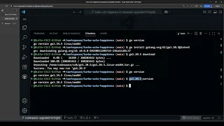 Installing Specific Golang Versions in GitHub Codespaces