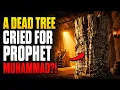 Story of A DEAD TREE CRIED FOR PROPHET MUHAMMAD
