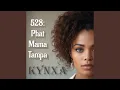 Download Lagu 528: Phat Mama Tampa