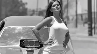 What Happened to Jungle Pam Hardy The Heartthrob of Drag Racing