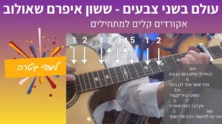 לימוד גיטרה למתחילים עולם בשני צבעים ששון איפרם שאולוב 