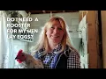Do I Need a Rooster for my Hens to Lay Eggs