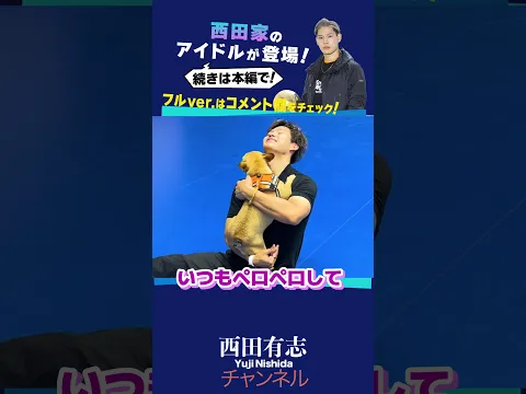 西田家の愛犬チャーリ&ハリソンを紹介します!#shorts #西田有志 #バレーボール