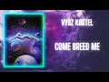 Vybz Kartel - Come Breed Me (432Hz)