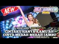 Lagu DJ BREAKBEAT FULL BASS | DJ MERAH JAMBU 2025 BASS NYA BIKIN NAGIH !!!