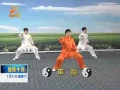 Download Lagu 郑冬霞陈氏太极拳老架一路教学完整版 标清