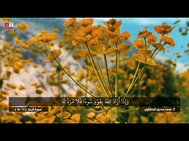 ⁣إِنّ اللَّهَ لَا يُغيِّرُ مَا بِقَومٍ حَتّىٰ يُغيّرُوا ما بِأنفُسِهمْ .. || الشيخ محمد صديق المنشاوي