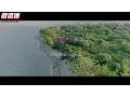 Download Lagu Ungu - Setengah Gila(Official Music Video)