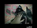 German shepherd runt of the litter
