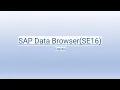 SAP Data Browser SE16 - English