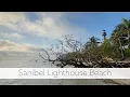 Low Tide Shelling on Sanibel Island Hunting For Seashells at Lighthouse Beach Sanibel