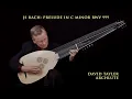 J.S. Bach: Prelude in C Minor "pour le luth" BWV 999;  David Tayler, archlute UHD video