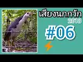 Download Lagu เสียงนกกวัก #06   White Breasted Water Hen Sound