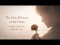 心に残るドライフラワー 🥀 | Sad BGM