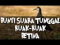 Download Lagu SUARA Ruak-Ruak TUNGGAL [ BETINA]