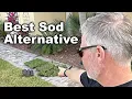 Planting Sod Pods Grass Plugs To Fill In Big Dead Spots In The Lawn