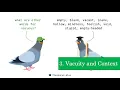 Translating with Quantifiers