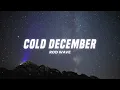 Rod Wave - Cold December (Lyrics)