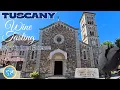 Day Trip from Florence to Radda and Castellina in Chianti Poggio Amorelli Winery
