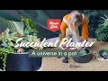 Succulent Planters How to create your own at home