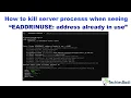 How to kill server processs when seeing EADDRINUSE address already in use