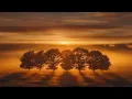 Peaceful Dream | Liesbet Leroy & Anam