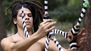 FLOW - Gustavo Ollitta