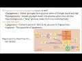 2402 Lecture Chapter 24 Nutrition and Metabolism 4 PowerPoint Screencast