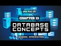 CHAPTER 13 S1 DATABASE CONCEPTS INTRODUCTION