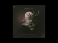 Paradise Lost – Silence Like The Grave