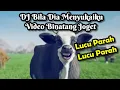 Download Lagu DJ Bila Dia Menyukaiku Tiktok (No Copyright) - Dancing Animals (Video Lucu)