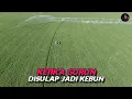 Download Lagu Arab Saudi Sulap Gurun Menjadi Perkebunan Subur