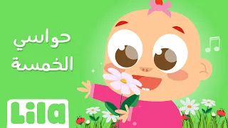 الحواس الخمسة   ليلا تي في دندنها