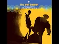 Sleeping on the Roof - The Flaming Lips