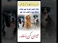Download Lagu Khwab mein kutta dekhna🐕‍🦺dog dream meaning | khwab mein kutta dekhne ki tabeer| خواب میں کتا دیکھنا