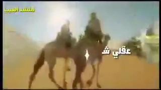 سيري يا ناقة سيري نحوي الهادي الباشيري 