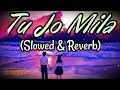"Mere Yaaraa & Tu Jo Mila" Love In LoFi Vol 1: Dj Chetas & Dj NYK 2022
