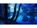 Download Lagu Soothing Night Time Forest Sounds - 2 Hour Ambient Soundscape - For Sleep \u0026 Relaxation