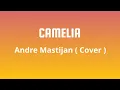 Download Lagu Camelia - Andre Mastijan ( Cover Lirik Lagu )