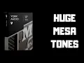 Download Lagu York Audio MES412 IR's - Chunky Mesa Tones For All!