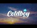 Kelsea Ballerini, Noah Kahan - Cowboys Cry Too (Lyrics)