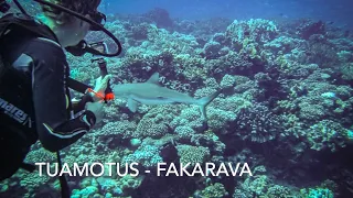 Solo sailing to the atol Fakarava in the Tuamotus part of French Polynesia – Ep. 196